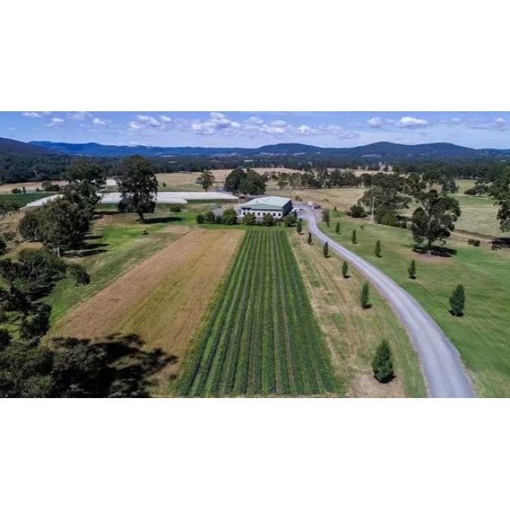 35 Mcnamaras Road, Millgrove, Millgrove - Thumbnail 3