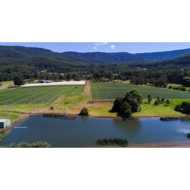 35 Mcnamaras Road, Millgrove, Millgrove - Thumbnail 4