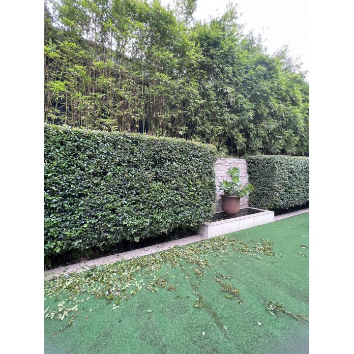 Kew法式豪宅, Kew法式豪宅 - Thumbnail 8