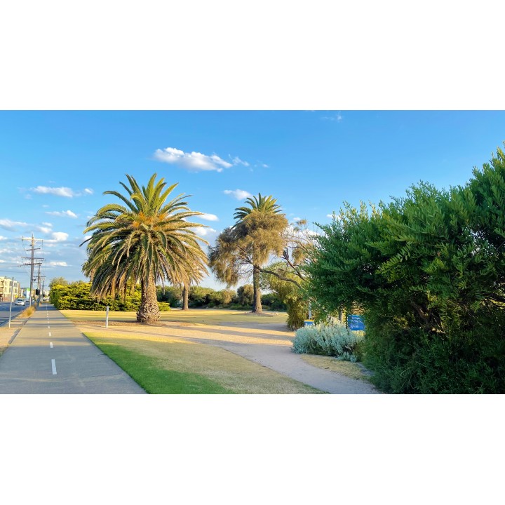 73/75 Bay Rd, Sandringham - Thumbnail 3