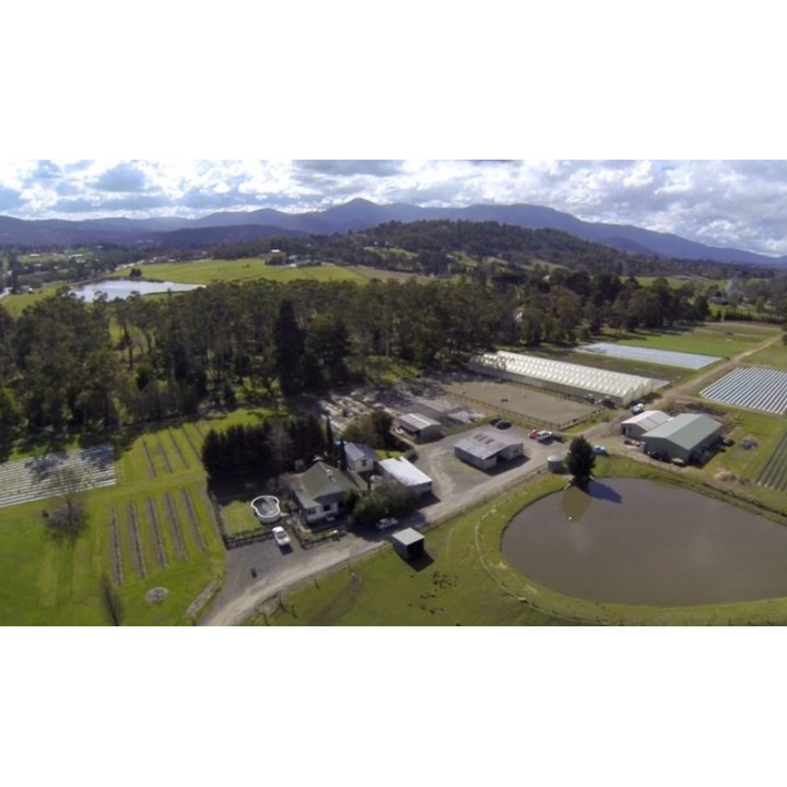 77 Healesville Koo Wee Rup Rd, Healesville, VIC 3777, Healesville - Image 1