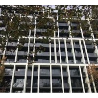 Carlton黄金地段 时尚高层两房公寓｜尽享都市生活